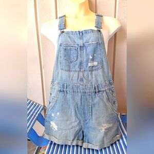 Denim Distressed Overalls